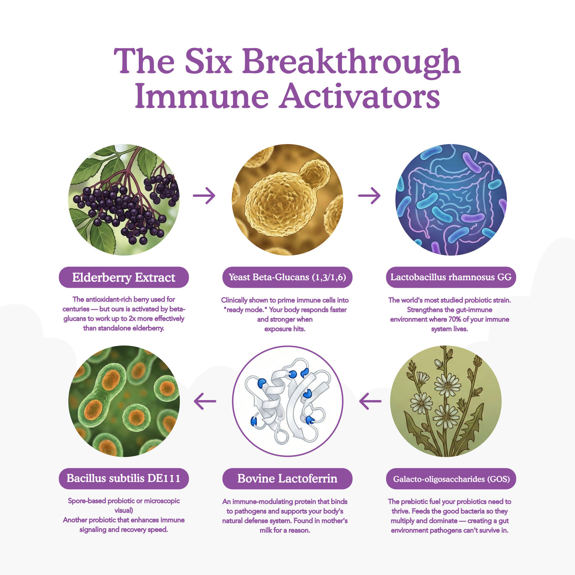 40oz insulated mug with a phone holder and free gifts included sign.